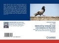 Cover: Newcastle Disease and Coccidiosis in Pigeons - LAP Lambert Academic Publishing