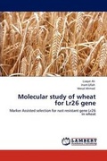 Cover: Molecular Study of Wheat for Lr26 Gene - LAP Lambert Academic Publishing