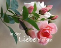 Cover: In der Liebe bleiben - Thomas-Vlg