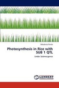 Cover: Photosynthesis in Rice with Sub 1 Qtl - LAP Lambert Academic Publishing