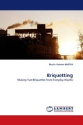 Cover: Briquetting - LAP Lambert Academic Publishing