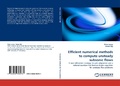 Cover: Efficient Numerical Methods to Compute Unsteady Subsonic Flows - LAP Lambert Academic Publishing