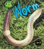 Cover: Worm - Raintree