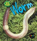 Cover: Worm - Raintree