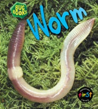 Enlarge image Cover: Worm - Raintree