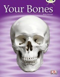 Cover: Bug Club Non-fiction Green C/1B Your Bones 6-pack - Pearson Education Limited