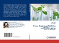 Cover: Primer Designing of Dreb1a and Dreb2a Genes - LAP Lambert Academic Publishing