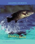 Cover: Amazing Journeys Pack A of 6 - Raintree Publishers