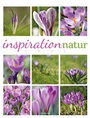 Bild: Inspiration Natur 2015 - Ackermann Kunstverlag