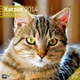 Bild: Katzen 2014 - Ackermann Kunstverlag