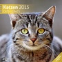 Bild: Katzen 30 x 30 cm 2015 - Ackermann Kunstverlag