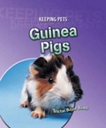 Cover: Guinea Pigs - Raintree