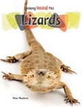 Cover: Lizards - Raintree Publishers