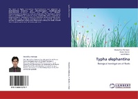 Enlarge image Cover: Typha elephantina - LAP Lambert Academic Publishing