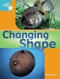 Cover: Rigby Star Guided Quest Year 2: Turquoise Level Changing Shape Reader Single - Rigby