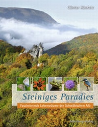 Abbildung von: Steiniges Paradies - Silberburg