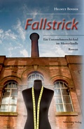 Cover: Fallstrick - Silberburg