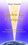 Cover: Seelen im &Uuml;bergang - BoD - Books on Demand