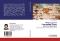 Cover: Mirozdanie Platonova - LAP Lambert Academic Publishing