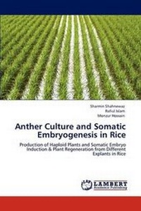 Enlarge image Cover: Anther Culture and Somatic Embryogenesis in Rice - LAP Lambert Academic Publishing