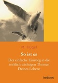 Cover: So ist es - tredition