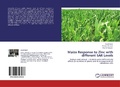 Cover: Maize Response to Zinc with different SAR Levels - LAP Lambert Academic Publishing