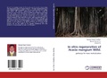 Cover: In vitro regeneration of Acacia mangium Willd. - LAP Lambert Academic Publishing