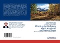 Cover: Mineral content in browse plants growing at northeastern Mexico - LAP Lambert Academic Publishing