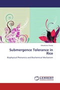 Cover: Submergence Tolerance in Rice - LAP Lambert Academic Publishing