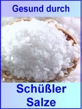 Cover: Gesund durch Sch&uuml;&szlig;ler Salze - neobooks