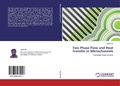 Cover: Two Phase Flow and Heat Transfer in Microchannels - LAP Lambert Academic Publishing