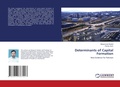 Cover: Determinants of Capital Formation - LAP Lambert Academic Publishing