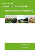 Cover: Gasnetze der Zukunft. - Fraunhofer Verlag