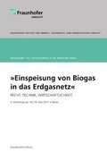 Cover: Einspeisung von Biogas in das Erdgasnetz. - Fraunhofer Verlag