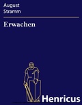 Cover: Erwachen - Henricus-Edition eBook