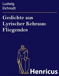 Cover: Gedichte aus Lyrischer Kehraus: Fliegendes - Henricus-Edition eBook