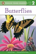 Cover: Butterflies - G P Putnam's Sons
