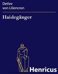 Cover: Haideg&auml;nger - Henricus-Edition eBook