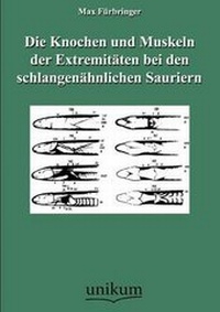 Abbildung von: Die Knochen und Muskeln der Extremitaeten bei den schlangenaehnlichen Sauriern - Europaischer Hochschulverlag Gmbh & Co. Kg