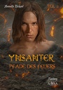 Cover: Ynsanter (2) - Gro&szlig;druck - AAVAA Verlag