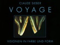 Cover: Voyage - Quintessenz Verlag