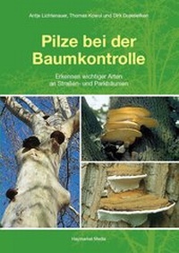 Abbildung von: Pilze bei der Baumkontrolle - Haymarket Media