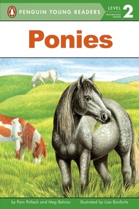 Enlarge image Cover: Ponies - G P Putnam's Sons