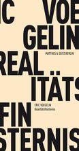 Cover: Realit&auml;tsfinsternis - Matthes & Seitz Berlin