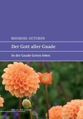 Cover: Der Gott aller Gnade - Der Strom