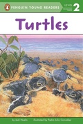 Cover: Turtles - G P Putnam's Sons