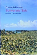 Cover: Schwarzes Salz - Das Wunderhorn
