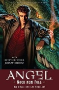 Cover: Angel Nach dem Fall - Panini Verlags GmbH