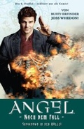 Cover: Angel Nach dem Fall - Panini Verlags GmbH