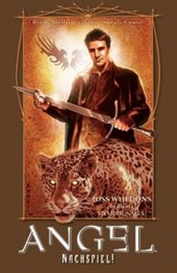 Abbildung von: Angel Nach dem Fall - Panini Verlags GmbH
